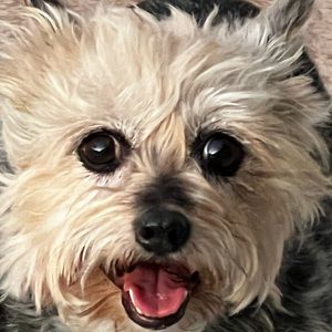 Meet your Posher, Kathy